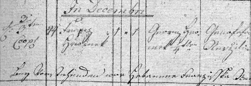 Řádek matriky narozených z Horákova, prosinec 1810, psaný kurentem; barevně označené kolonky datum, dům, dítě, otec a matka